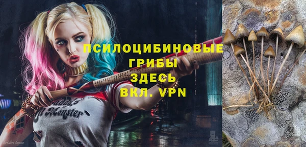 дурь Лабытнанги