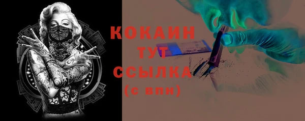 дурь Лабытнанги