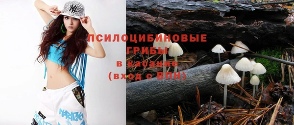 дурь Лабытнанги