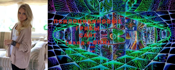 дурь Лабытнанги