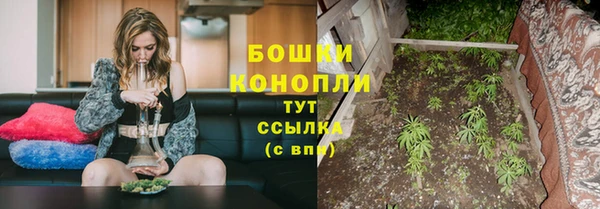дурь Лабытнанги
