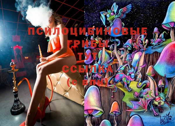 дурь Лабытнанги