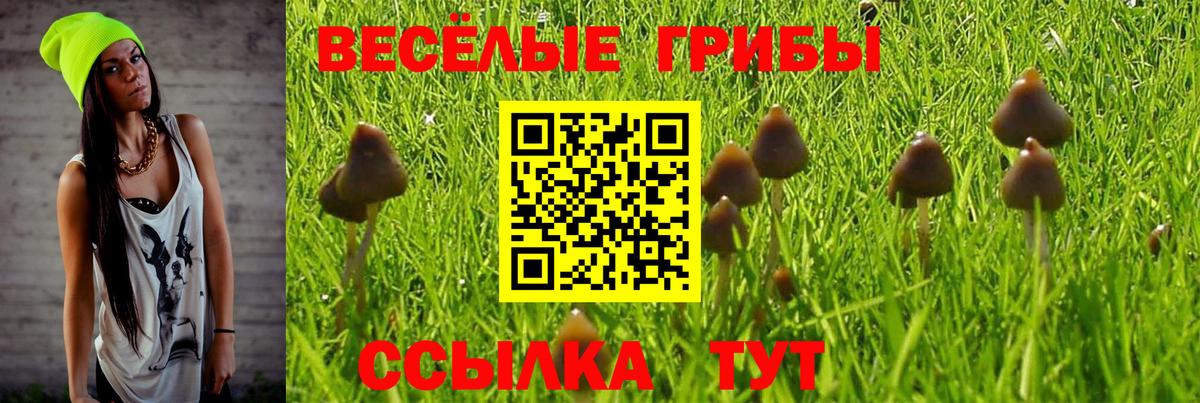Псилоцибиновые грибы Psilocybine cubensis Шали